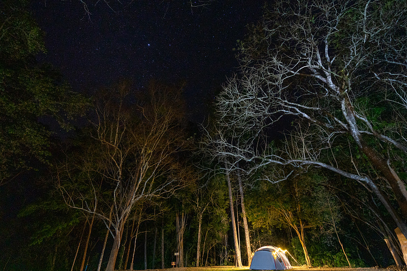 夜晚,帐篷,自然公园,露营
