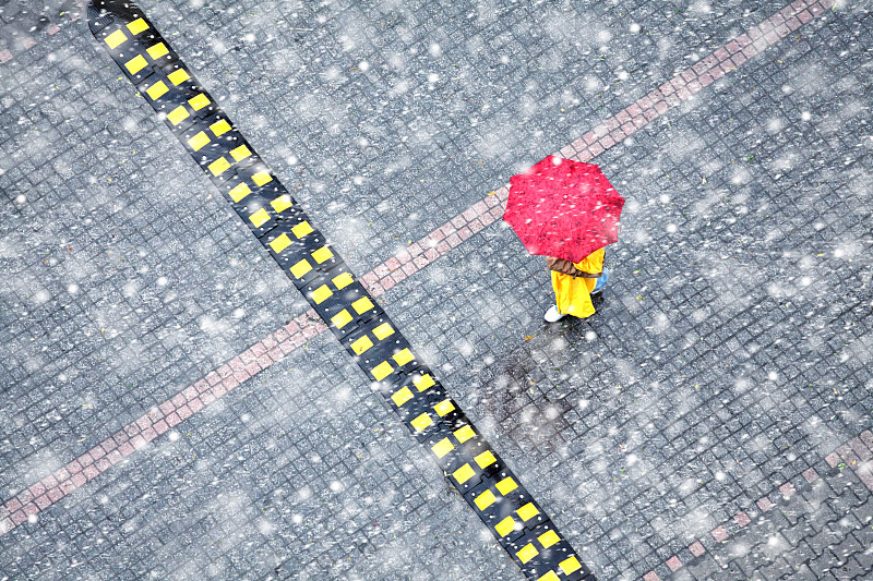 伞,大风雪,白昼,女人,步行