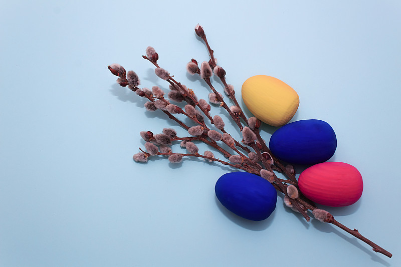复活节,柳树,蓝色背景,Araucana,Egg,枝