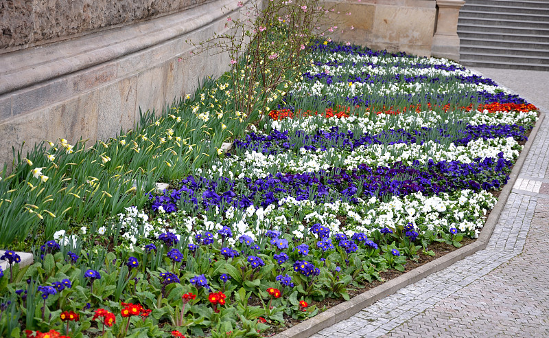 春天,蓝色,米色,红色,一年生植物,花岗岩,立方体,建筑外部,二年生植物,人行道