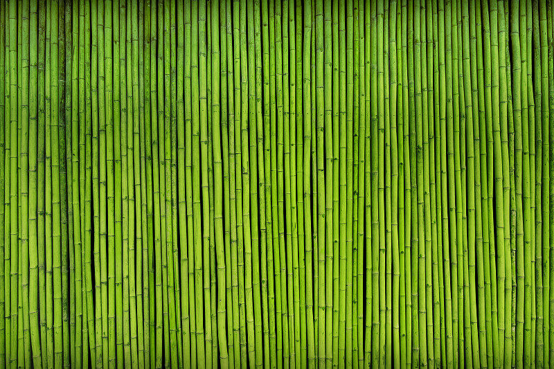 绿色,竹,篱笆,背景,纹理效果