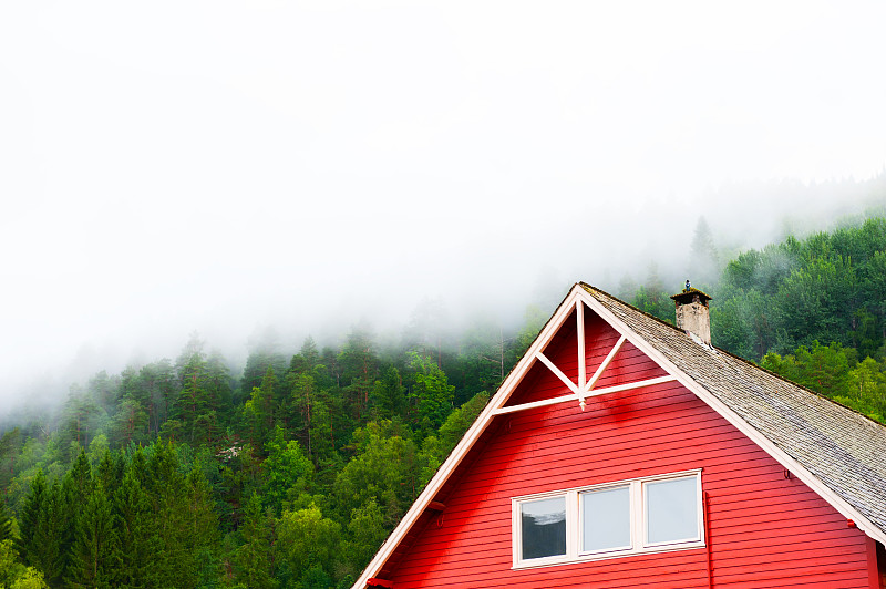 森林,房屋,传统,红色,外立面,挪威文化