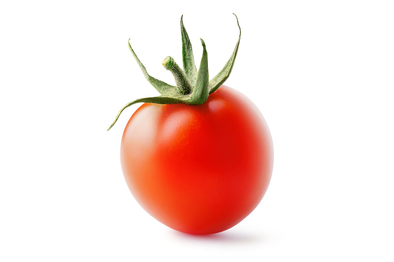 西红柿,白色背景,分离着色