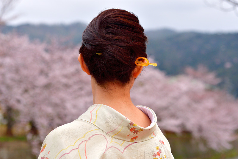 日本人,和服,女人,京都府,樱桃树,季节,仅日本人,和服腰带,享乐