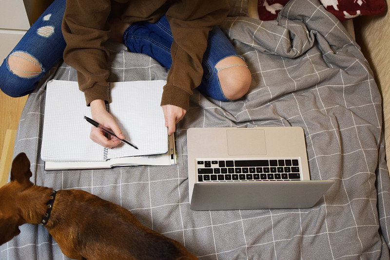 宠物,知识,床,狗,家庭生活,少女,使用手提电脑,在活动中,坐,舒服