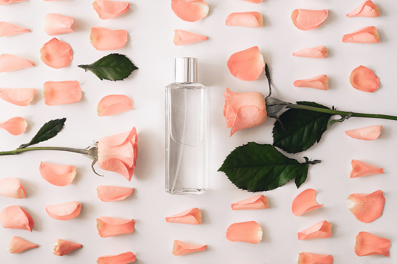香水瓶,瓶子,玫瑰,白色背景,背景分离,华贵,浪漫,芳香疗法,花