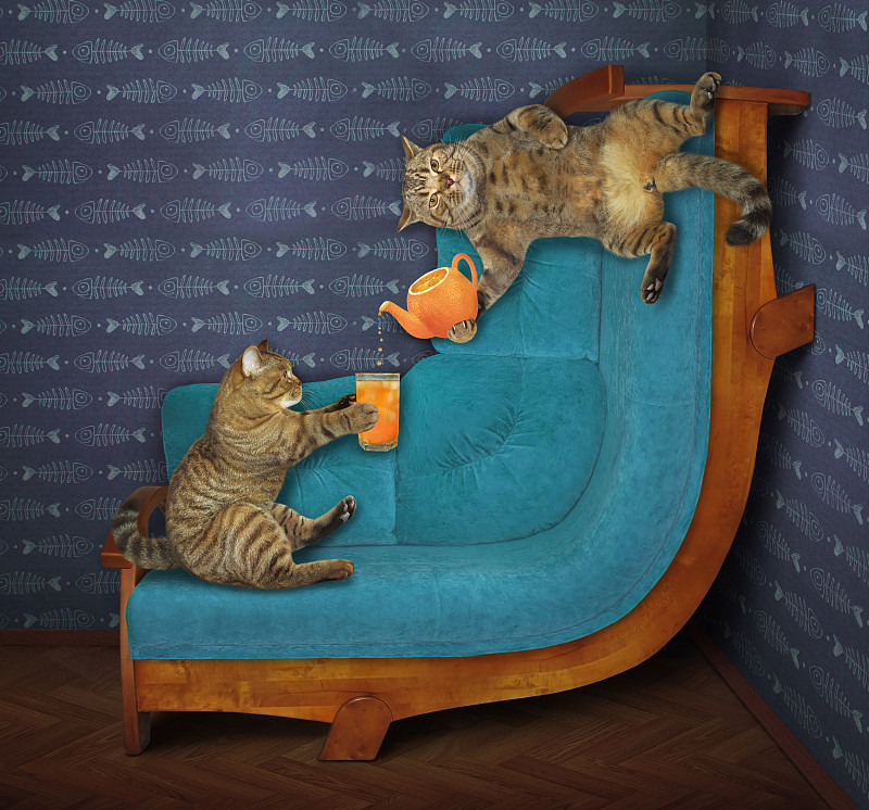 沙发,猫,弯的,两个物体,饮料,清新,舒服,玻璃杯,坐,弯曲