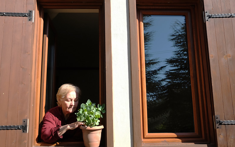 窗台,祖母,周末活动,土耳其,花盆,舒服,一个人,花,浇水,相伴