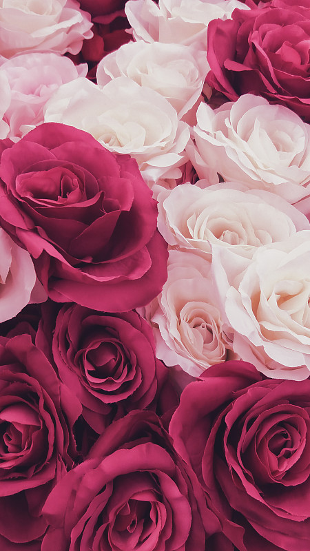 玫瑰,粉色,纺织品,背景,红色,垂直画幅,热情,爱