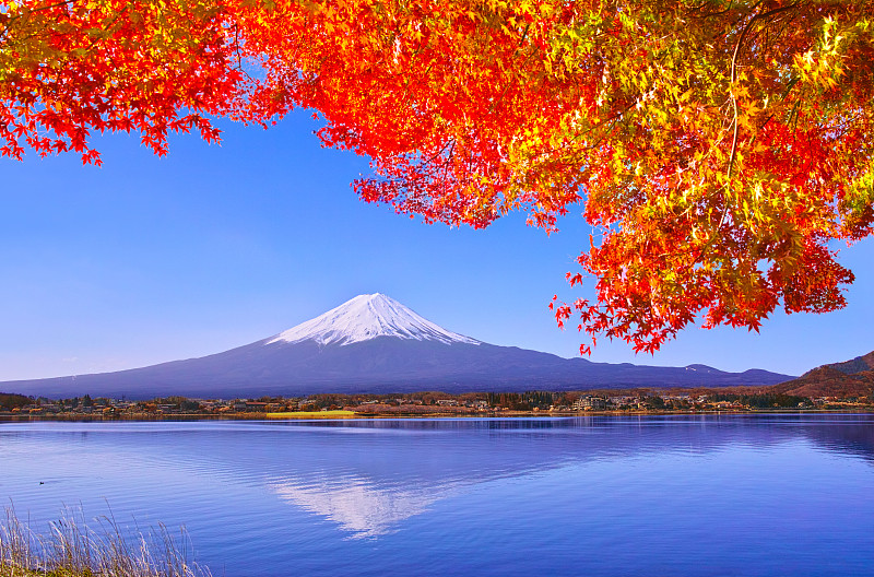 富士山,秋天,叶子,著名自然景观,雪山,世界遗产,雪,著名景点,自然美,枫叶