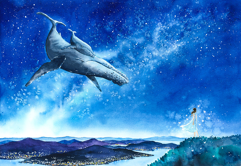 鲸,水彩画颜料,夜晚,创造力,海洋生命,幻想,野生动物,图像,想象