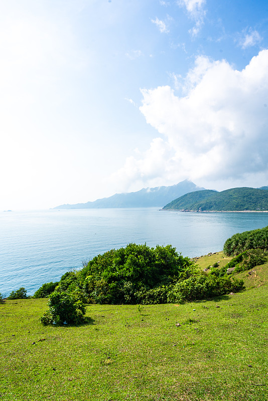 清新,背景,天空,绿色,蓝色,活力,草坪,公园,枝繁叶茂,草