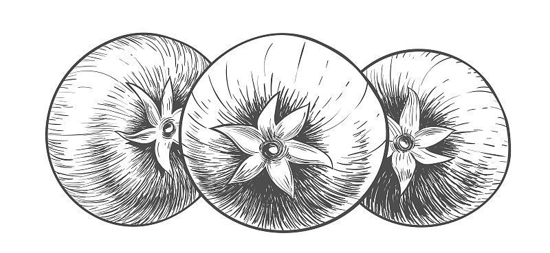 三个物体,西红柿,雕刻术,绘画插图,正面视角,草图,分离着色,动物手,绘制