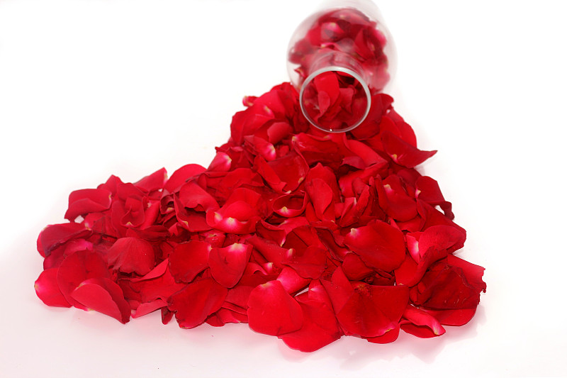 心型,红色,玫瑰,贺卡,背景分离,边框,浪漫,情人节卡,想法,绘画插图