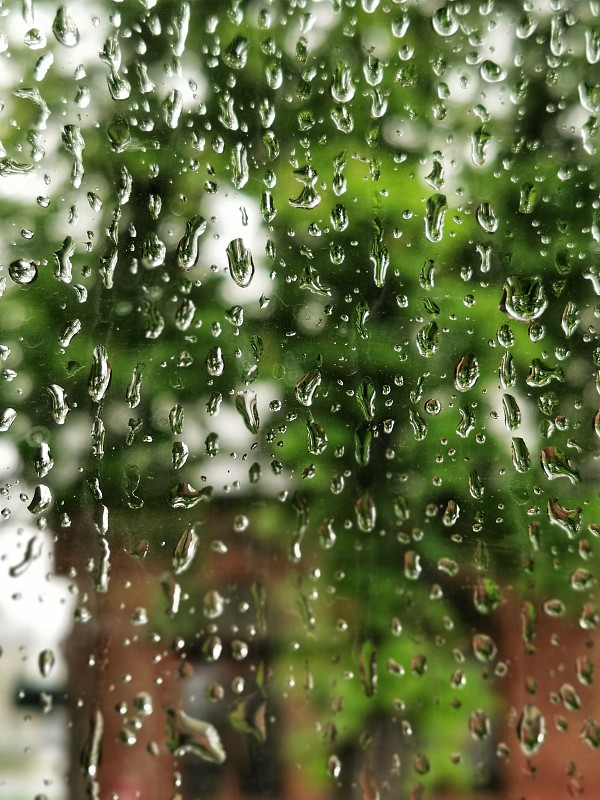 雨滴,拉凡他那石拱,湿,波兰,清新,环境,天气,春天,窗户,植物