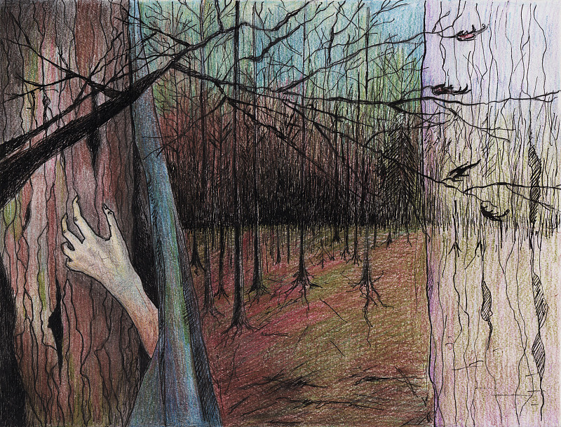 绘画插图,森林,灵性,暗色,彩色铅笔,动物手,怪异,童话故事,春天,手册封面