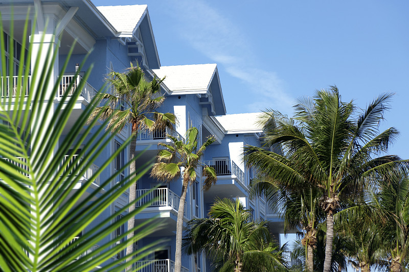 蓝色,棕榈树,公寓,居住区,安静,美国小镇,热带气候,热带树,户外,建筑
