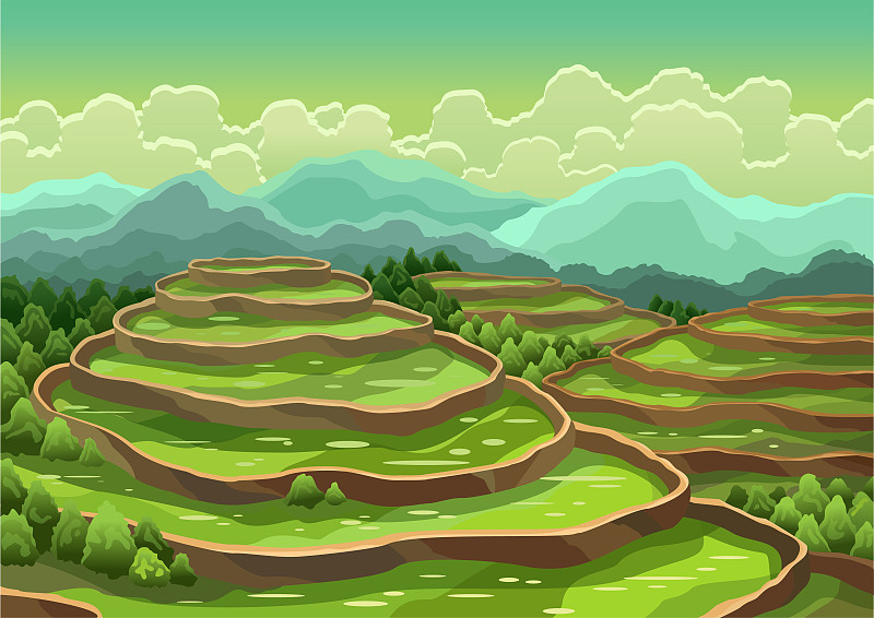 地形,米,茶,田地,背景,农业,梯田,谷类食品,越南,食品