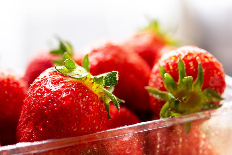 塑料容器,草莓,特写,农业,背景分离,塑胶,熟的,甜点心,植物,水果