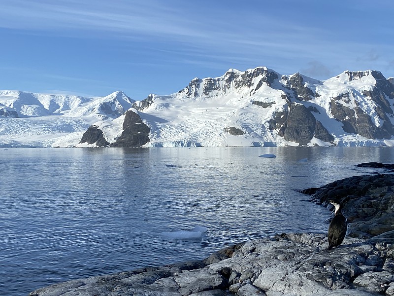南极洲,王鸬鹚,气候,寒冷,南极半岛,雪山,野生动物,环境,云,雪