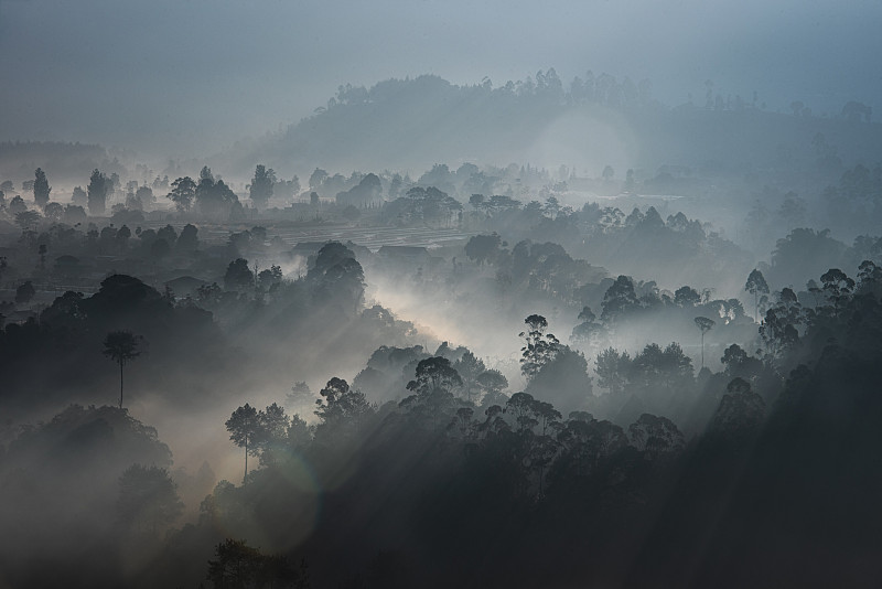 秘密,雾,云景,环境,云,自然美,背景,户外,天空,木制