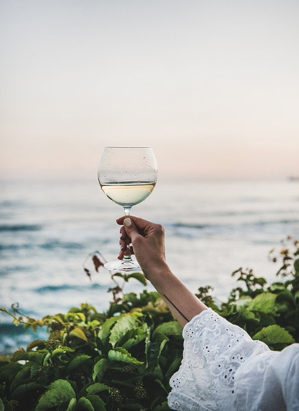 海洋,葡萄酒,拿着,玻璃杯,背景聚焦,女人,浪漫,手,植物,户外