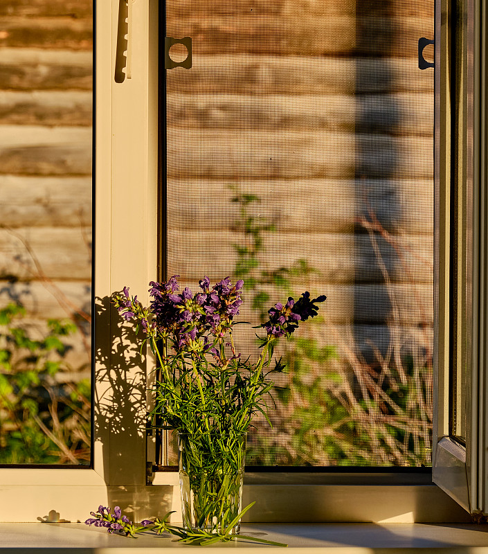 紫色,白色,花束,野花,农舍,日光,窗台,浪漫,色彩鲜艳,圆木