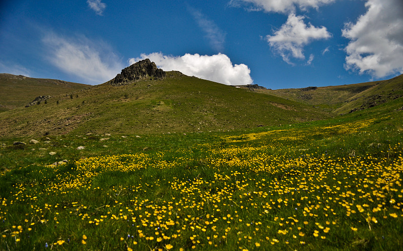 山脉,苏格兰高地,云景,环境,云,草,自然美,春天,植物,岩石