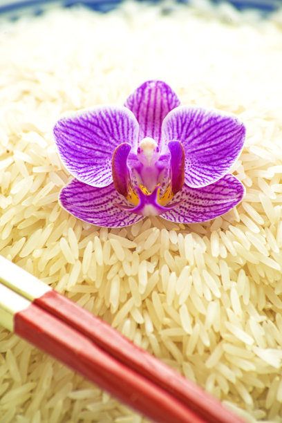 紫色香米稻