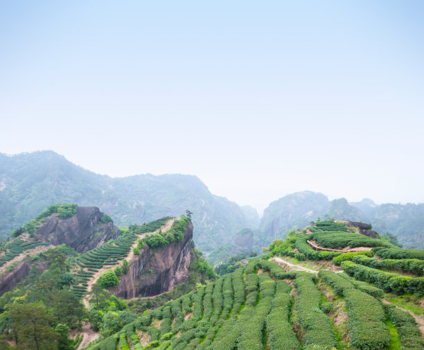 武夷山旅游