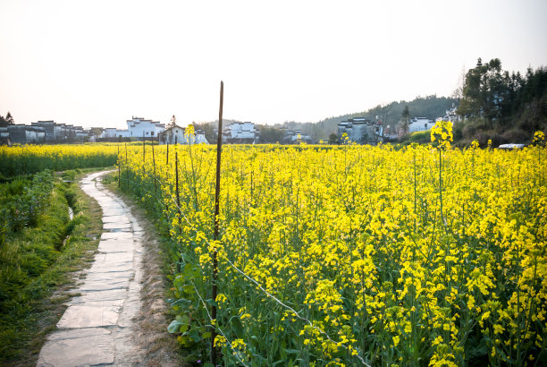 江西景观建筑