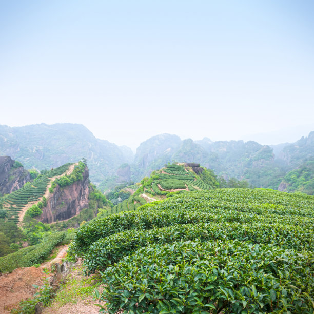 福建武夷山