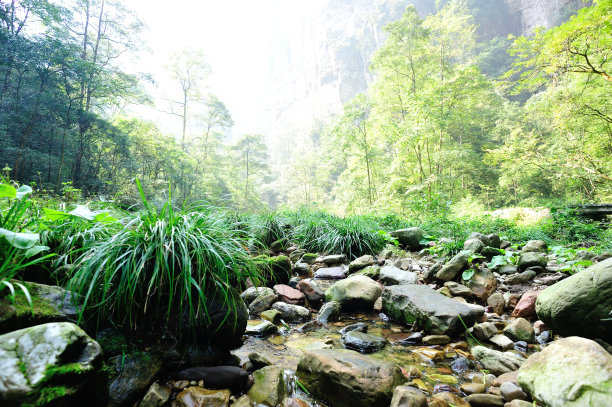 湖南张家界风景