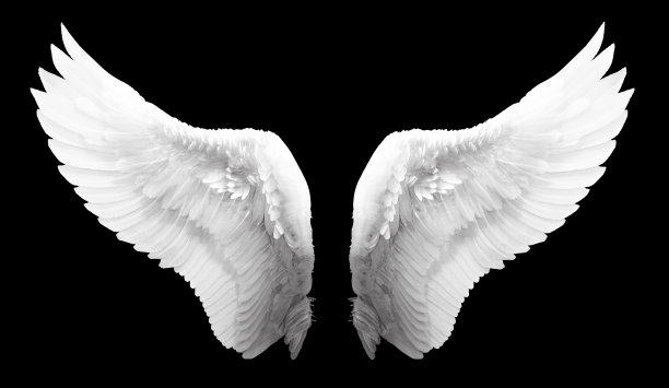 翅膀 天使