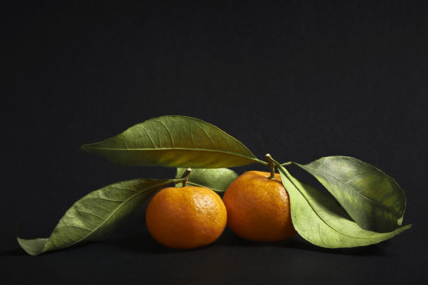 橙子水果装饰画挂画