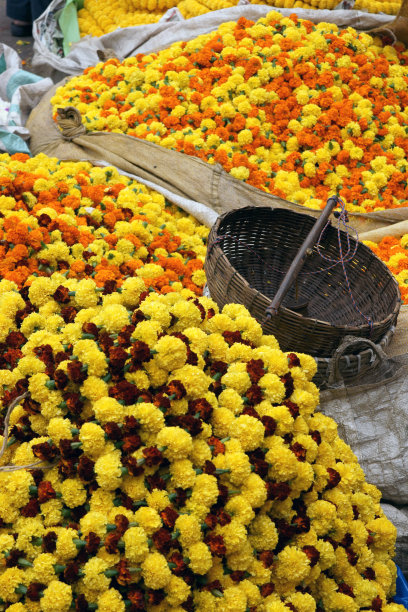 印度鲜花市场