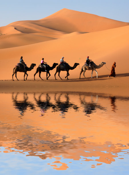 沙漠骆驼蓝天游人