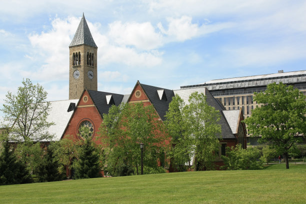 康奈尔大学