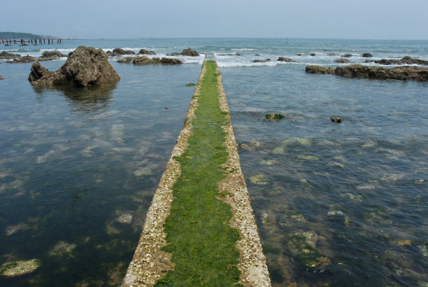 青岛大海礁石