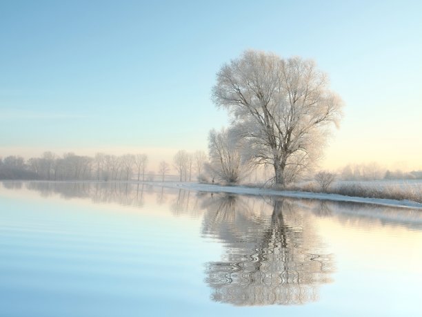 早冬湖边霜冻的美景