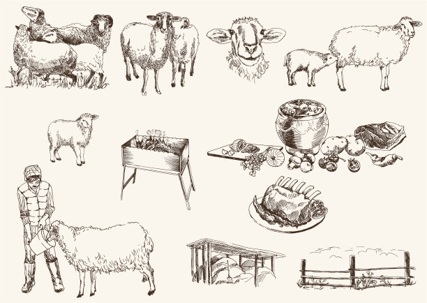 羊排肉串