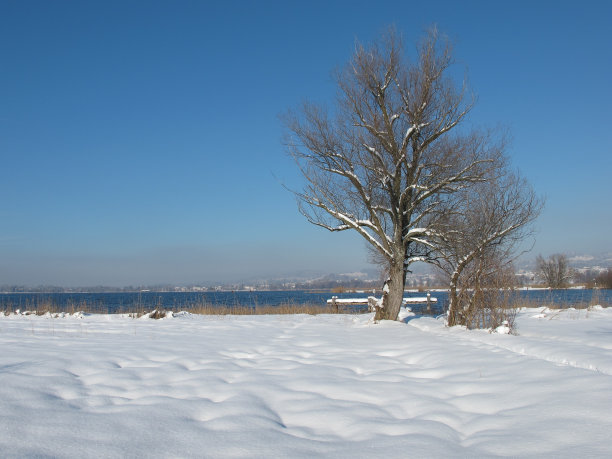 苏黎士州,冬天,风景,自然,水,寒冷,气候,水平画幅,地形,雪