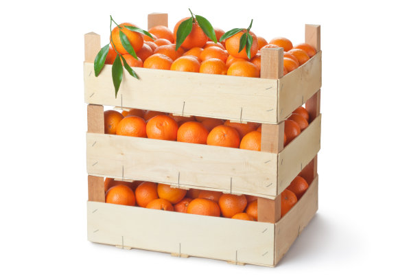 橙水果箱