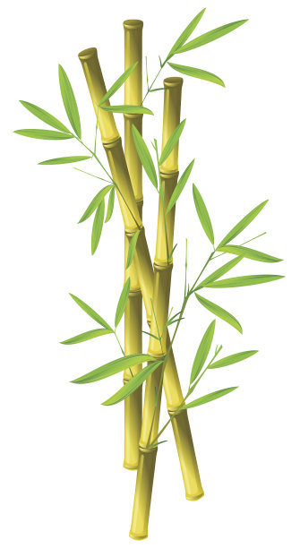 竹子背景画