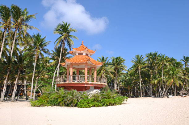 海南岛椰子树