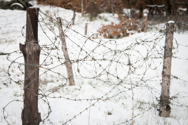 冰雪基地