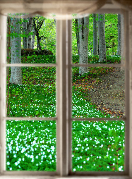 3d立体窗外自然风景绿色树林