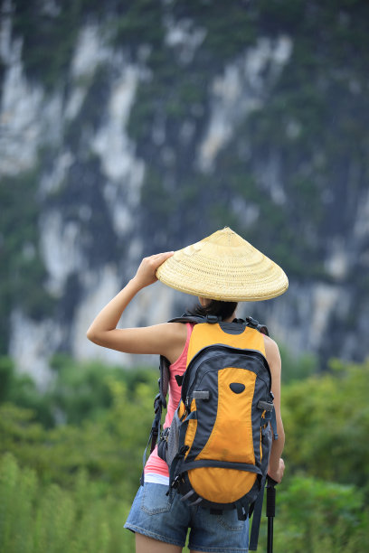 夏日乡间的竹林