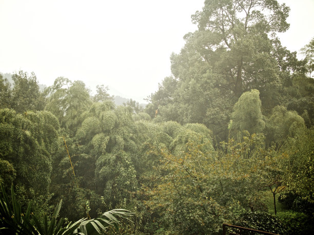 雨中西湖