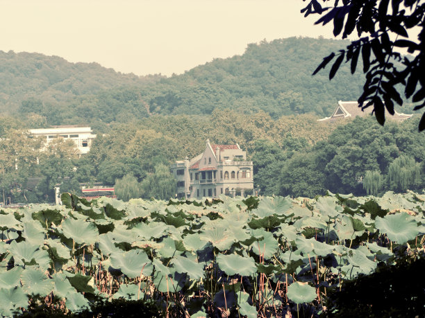 阴雨西湖